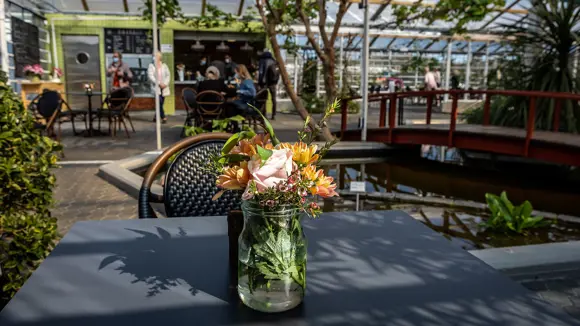Vase of flowers on a table at Care Flora at Grasagarður Botanical Garden.
