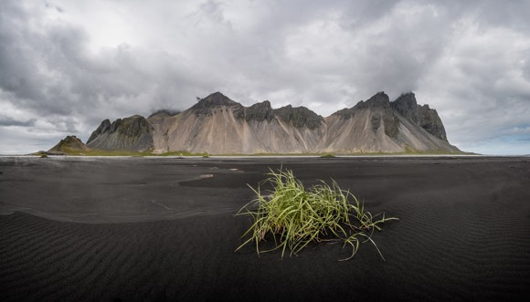 Black sands at Vestrahorn, Iceland on a cloudy day