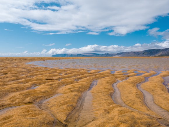 Close up of the sand and water at Rauðisandur Beach