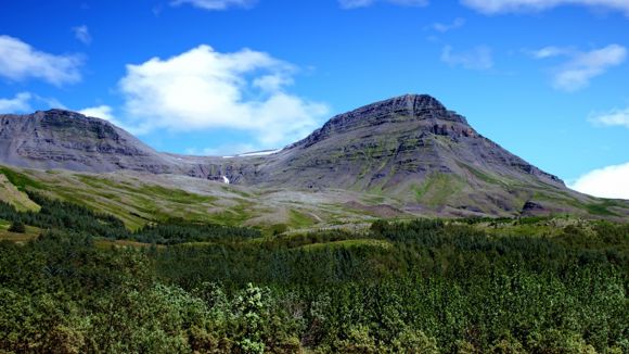 Woodlands and the Esja mountain range against a blue sky in West Iceland