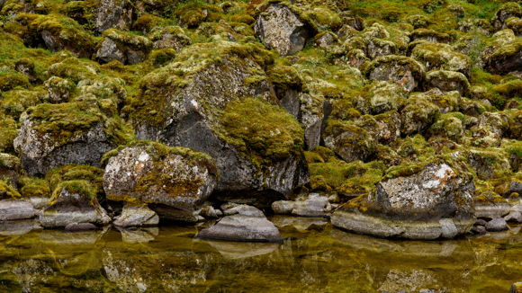 The cracks and crevices said to house elves in Ásbyrgi Canyon