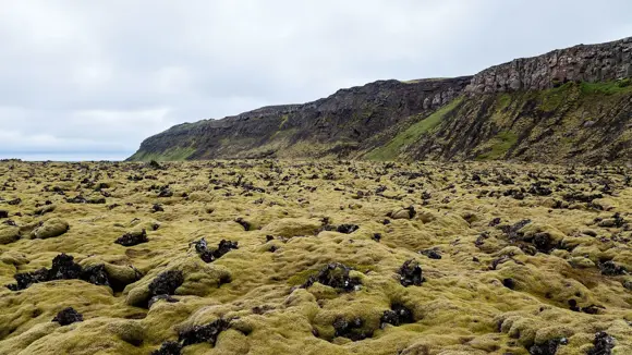 Lava fields at Heiðmörk Nature Reserve in Iceland.