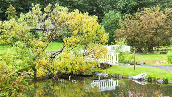 A public park in the Laugardalur valley in Reykjavík, Iceland.