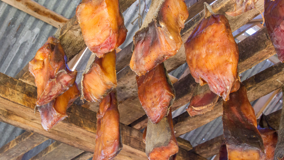 Fermented shark on a drying rack.