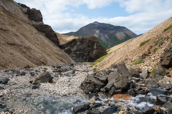 Hvannagil Canyon in Njardvik in East Iceland.