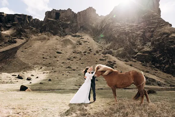 A bride and a groom stroking an Icelandic horse while taking wedding photos.