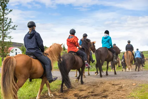 horseback riders